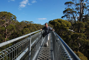 Patrick Blanc on the canopy walkway among Red Tingles crowns, Eucalyptus jacksonii, Walpole, Western Australia, Nov 2011