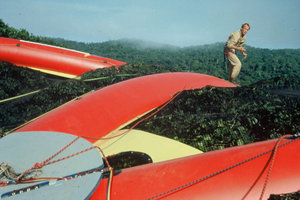Patrick Blanc on the Radeau des Cimes, French Guyana, Oct. 1989