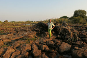 Patrick Blanc on the rocks totally covered by dry Ledermanniella tenax, a rheophytic annual Podostemaceae in the dry Zambezi river bed, Victoria Falls, Zambia, Sept. 2017