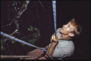 Patrick Blanc reaching the Canopy Raft at 35 meters above the ground, where he discovered Cercestis blancii during the ascention between forest floor and tree crowns, Ebodjé, Campo, Cameroon, Dec. 1991, photo by Pascal Héni