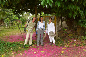 Patrick Blanc, Sandra Atallah and Patricia Perez Aguilar on a carpet of Syzygium malaccense bright pink stamens, Macarena, Meta, Colombia, Oct. 2016