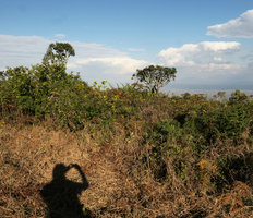 Patrick Blanc shadow while taking a photo of old Cussonia spicata trees, the only trees not felled and  remaining on the plateau, Zomba, Malawi, Aug. 2017