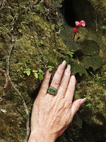 Patrick Blanc&#039;s hand, giving the scale for a flowering Begonia siccacaudata and an Argostemma species, maybe the smallest erect forest understory Angiosperm, Bantimurung, South Sulawesi