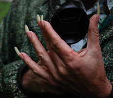 Patrick Blanc&#039;s hand with camera, Italy April 2010