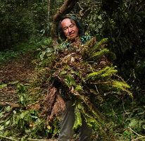 Patrick Blanc showing a big specimen of Phlegmariurus phyllanthus fallen on the ground during a treefall, Mathikettan Shola NP, Kerala, India, Jan. 2023