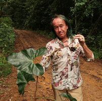 Patrick Blanc showing a fruiting specimen of Cercestis blancii, Ebodjé, Campo, Cameroon, March 2018