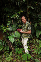 Patrick Blanc showing the dark red anthocyanic lower abaxial surface of a Boesenbergia leaf, Khao Sok NP, Thailand, June 2019