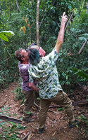 Patrick Blanc showing the leafy crown of a tall Ravenala madagascariensis while Pascal Héni is filming, Ankin&#039;ny Nofy Reserve, Madagascar, Aug. 2024