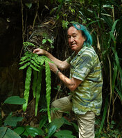 Patrick Blanc showing the long terminal lobe of the frond of the epiphytic fern Goniophlebium percussum, Bukit Timah NR, Singapore, Nov. 2023