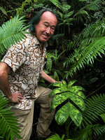 Patrick Blanc showing the spotted leaves of the juvenile Pinanga insignis in forest understory, Balinsasayao Twin Lakes, Negros Oriental, Philippines, Jan. 2025