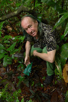 Patrick Blanc showing Trichomanes elegans with blue iridescent fronds, Arusi, Nuqui, Choco, Colombia, Nov. 2016