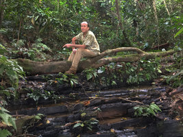 Patrick Blanc sitting above a population of Anubias barteri growing among schist rocks in a forest stream, Mont des Elephants, Kribi, Cameroon, March 2018