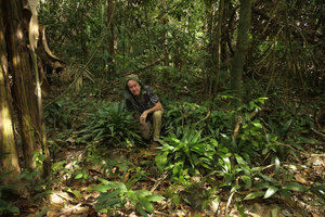 Patrick Blanc sitting among a population of Peliosanthes teta subsp. humilis, Macleod Is.,Tanintharyi, Myanmar, Jan. 2018