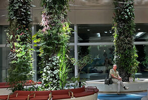 Patrick Blanc sitting among the Green Columns at the Arrrival level, Changi airport, Terminal 2, Singapore, July 2022