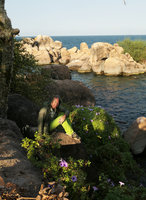 Patrick Blanc sitting on big boulder among flowering Ipomoea cairica, Mumbo Island, Lake Malawi NP, Aug. 2017
