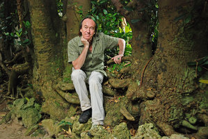 Patrick Blanc sitting on the anastomosing roots of the densely planted Garcinia subelliptica in old village street, Bise, Okinawa, Japan, April 2012