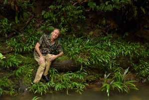 Patrick Blanc sitting on the banks of a fast flowing river among a population of a tiny new Dicranopygium species with entire leaves,Terco, Nuqui, Choco, Colombia, Nov. 2016