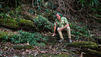 Patrick Blanc sitting on the slabs covered by a dense vegetative population of the creeping rheophytic Ficus cataractorum, Touho, New Caledonia, Aug. 2023