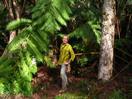 Patrick Blanc sous Cibotium dans Volcano NP - Hawai&#039;i - Jan 08