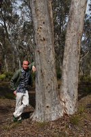 Patrick Blanc standing against Eucalyptus wandoo, Stirling Range NP, Western Australia, Nov. 2011