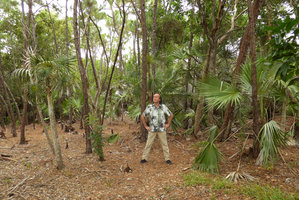 Patrick Blanc standing between Coccothrinax argentata and Thrinax morrisii in a Pinus elliottii forest, Big Pine Key, Florida, July 2016