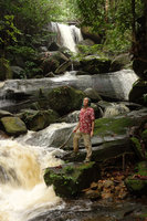Patrick Blanc standing on a rock covered in rheophytic Ixora and Piptospatha seedlings Kubah NP, Sarawak, Borneo Oct 2014