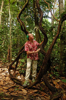 Patrick Blanc standing on a vine, Iquitos, Peru, Aug 2014