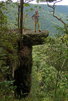 Patrick Blanc standing on overhanging stone platform, just above newly emerging Monolophus (syn. Caulokaempferia) saxicola, Khao Yai NP, Thailand, June 2016