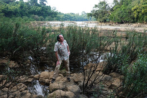 Patrick Blanc standing on the rocky riverbed among a population of the rheophytic shrub Telectadium dongnaiense, Ben Cu rapids, Dong Nai river, Cat Tien NP, Vietnam,Nov. 2019