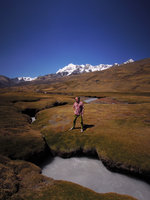 Patrick Blanc standing on the spiny Distichia muscoides peat swamp, Cuzco, 4200m, Peru, Aug 2014