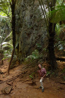 Patrick Blanc surrounded by thin stemmed Arenga westerhoutii in a deep shaded gully totally protected from wind, Railay, Krabi, Thailand, Dec 2015