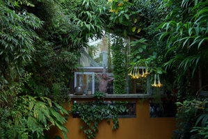 Patrick Blanc taking a shower outside in his patio surrounded by vertical gardens including the flowering Brugmansia, Sept. 2015
