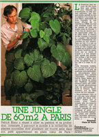 Patrick Blanc taking care of his Piper carrilloanum, L&#039;Ami des Jardins, Feb. 1984
