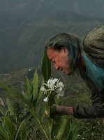 Patrick Blanc testing the perfume of Hedychium forrestii flowers around Topas Ecolodge, Sapa, Vietnam, Nov. 2017