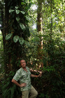 Patrick Blanc under a densely fenestrated form of Rhaphidophora foraminifera, Gunung Mulu NP, Sarawak, Borneo, Sept. 2018
