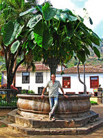 Patrick Blanc under a fountain topped by a huge clump of Colocasia esculenta, Tenerife, Canary Islands, Aug. 2007
