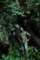 Patrick Blanc under Alocasia sp. nov. B in karst habitat, Phang Nga, Thailand, March 2022