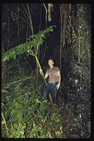 Patrick Blanc under an Amorphophallus, Batu Kambing, Sumatra, May 1983