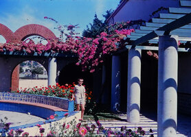 Patrick Blanc under a pergola of blooming Bougainvillea, Lisbon, Aug. 1965