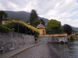 Patrick Blanc under a pergola of Rosa banksiae in full bloom, Como lake, Italy, April 2016