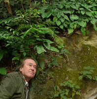 Patrick Blanc under a population of Aglaonema modestum, the Peak, Hong Kong, Dec 2015
