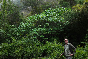 Patrick Blanc under a population of Piper auritum, a common small pioneer tree at mid elevation, Chicaman, Quiche, Guatemala, Dec. 2019