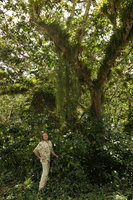 Patrick Blanc under a tree covered y epiphytic Bromeliads and Rhipsalis cassutha, El Nicho, Cienfuegos, Cuba, Feb.2017