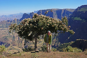 Patrick Blanc under a tree shaped Rosa abyssinica due to overgrazing in high altitude grassland, Simien NP, Ethiopia, Jan. 2019