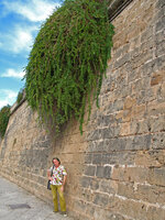 Patrick Blanc under Capparis spinosa, Palma de Majorque, Baléares, Spain, Sept. 2008