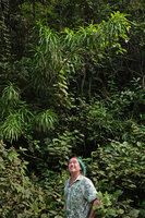 Patrick Blanc under Dracaena americana, Mountain Pine Ridge Reserve, Belize, Jan. 2020