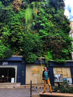 Patrick Blanc under his Oasis d&#039;Aboukir, Paris, Sept. 2022