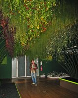 Patrick Blanc sous son Plafond Vegetal, exposition EDF Electra, Paris