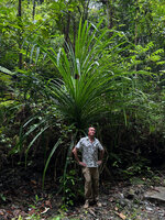 Patrick Blanc under Pandanus krauelianus, Waimital, Kairatu, Seram, Moluccas, April 2024