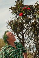 Patrick Blanc under Rhododendron arboreum subsp. nilagiricum, Mathikettan Shola NP, Kerala, India, Jan. 2023